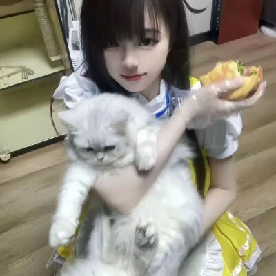 边角料情头｜慵懒的猫 ૮ ˃̵ ֊ ˂̵ ა