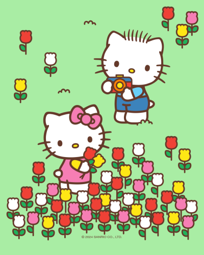 hello kitty