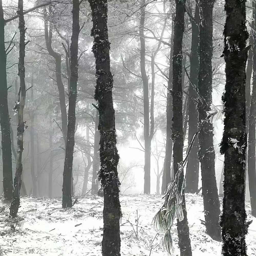 背景｜文案
下次你撑伞低头看水洼，就会想起我说雨是神的烟花。