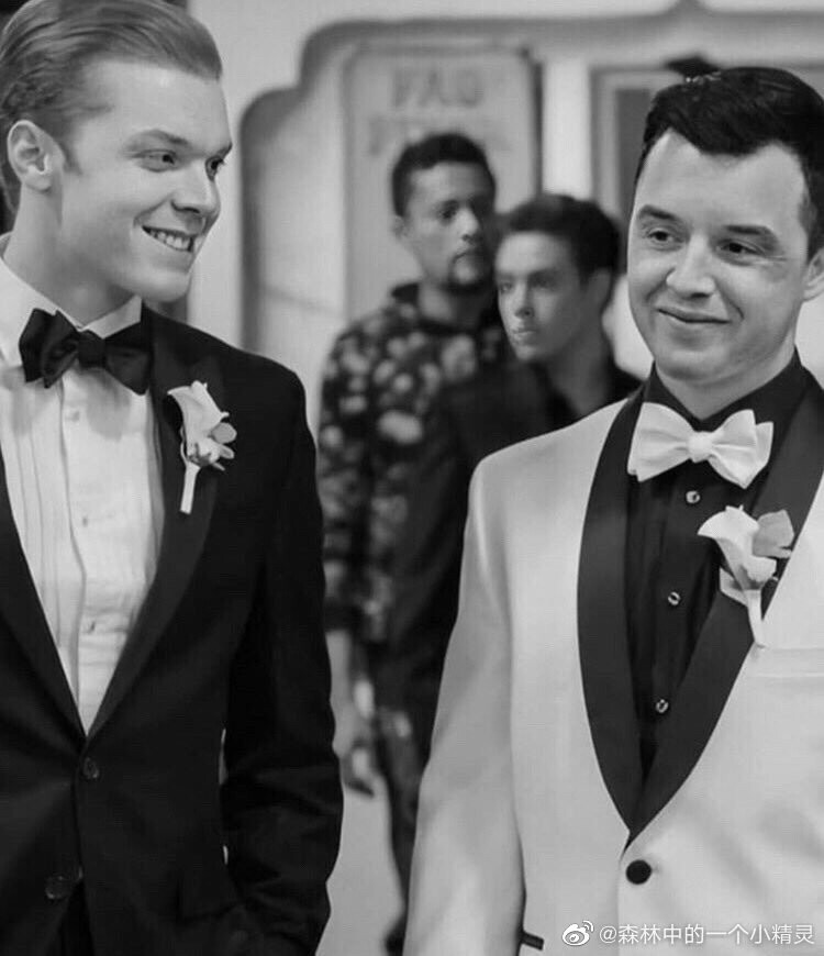 gallavich