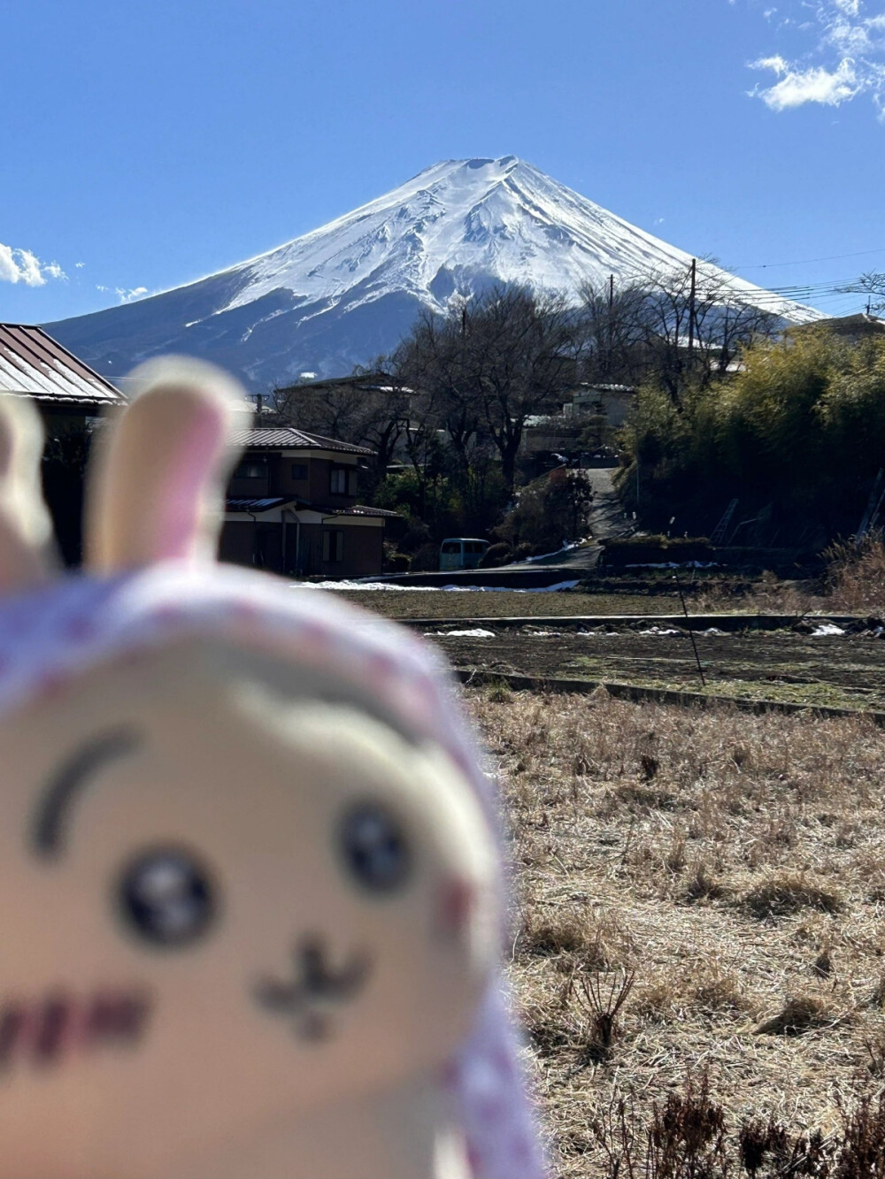 chiikawa富士山