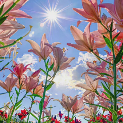 背景·图源微博