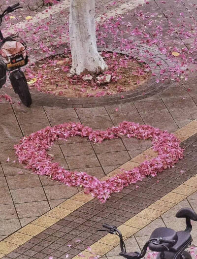 春日鲜花背景图