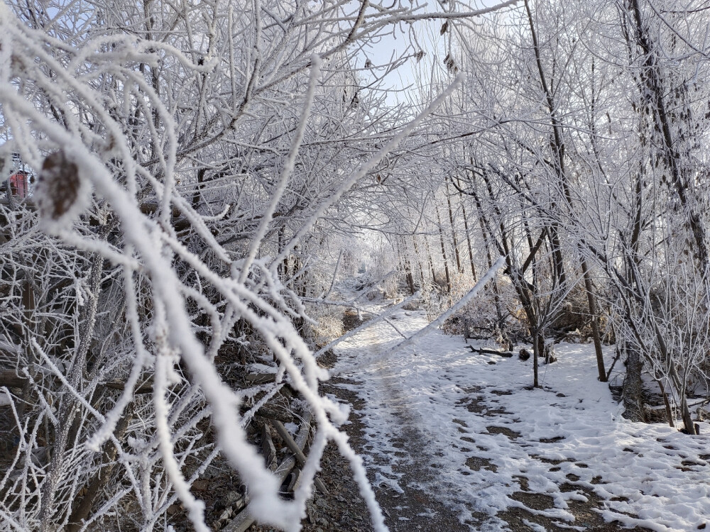 雪景