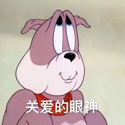 到处找的