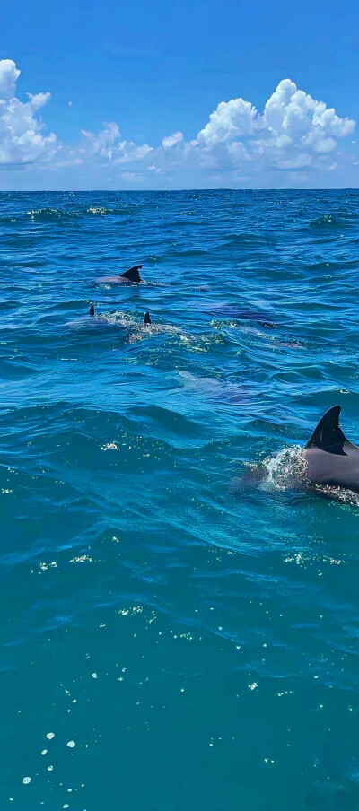 海边风景壁纸呀