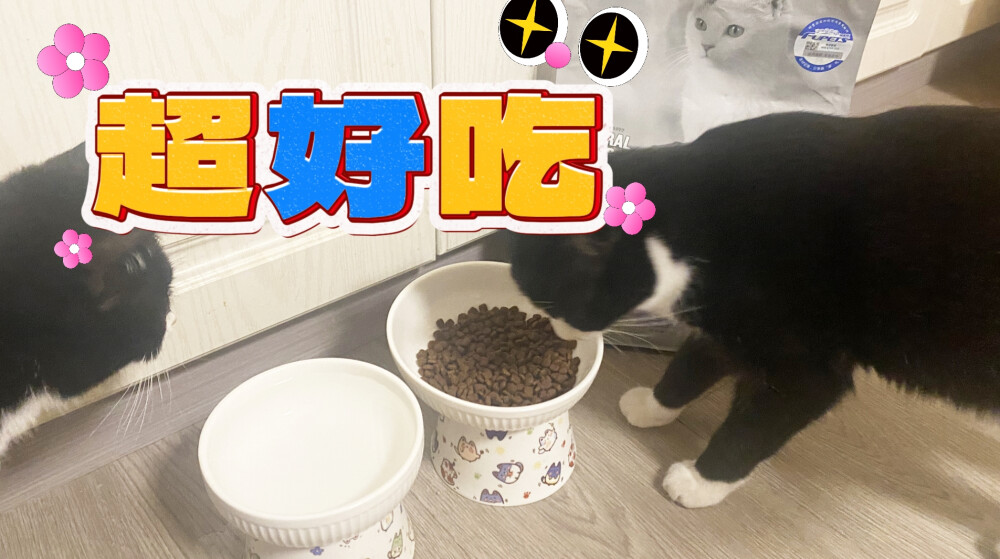 爱狸花猫的你，是否曾为挑选合适的猫粮而犯愁？今天，我来帮你解决这个问题！
想要给狸花猫选一款健康的猫粮，你需要掌握这四大秘诀！首先，了解狸花猫的营养需求是关键。它们需要高蛋白、适量脂肪以及必要的维生素和矿物质。选择成分表中动物蛋白含量高的猫粮，比如福派斯理想体态猫粮，肉含量高达70%，动物蛋白原料来源95%，这样才能满足它们的营养需求。
其次，选择信誉好的品牌也很重要。优质品牌通常有严格的生产标准和质量监控，能确保猫粮的安全和健康。购买时查看包装上的生产信息，了解品牌的背景和生产情况，让你更放心。
另外，别忘了关注猫粮的保质期和生产日期。过期的猫粮可能导致狸花猫健康问题。购买时查看包装上的日期