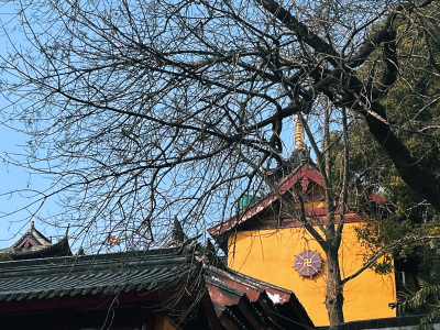 鸡鸣寺 风景