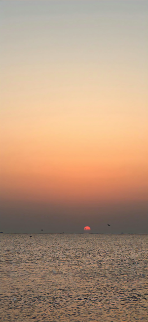 聊天背景