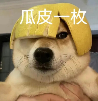 表情包