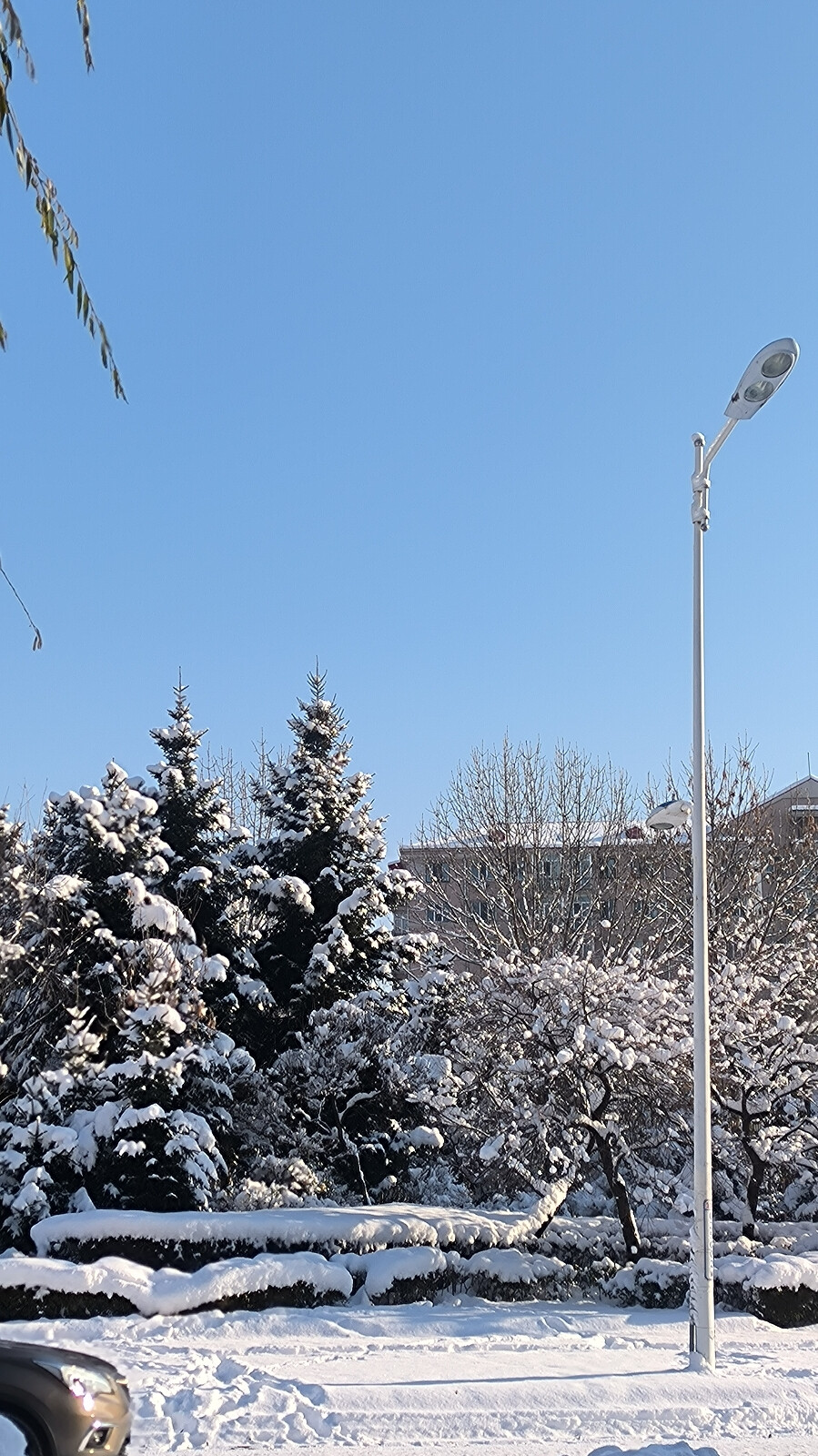 那天雪后的早晨，真的很亮，也很难走。