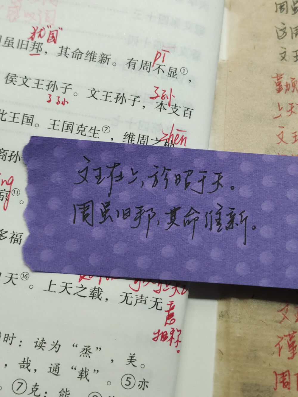 嗅着春风，思绪回到童年，只隐隐有些难以捕捉的微光，一瞬的情感，再具体的画面就再也见不到了。熟悉的画面只有少少的几张，在木沙发上，在楼梯间，在烈日里，在红绿灯旁。它们就像咀嚼了很多年的槟榔，现在干巴巴的，再没有香。