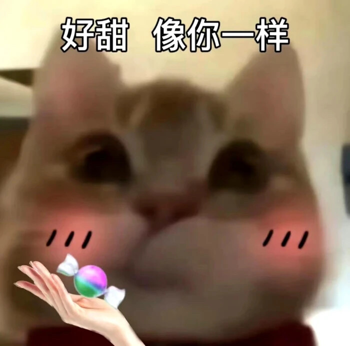 歪嘴小猫咪