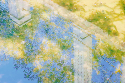 风景背景图