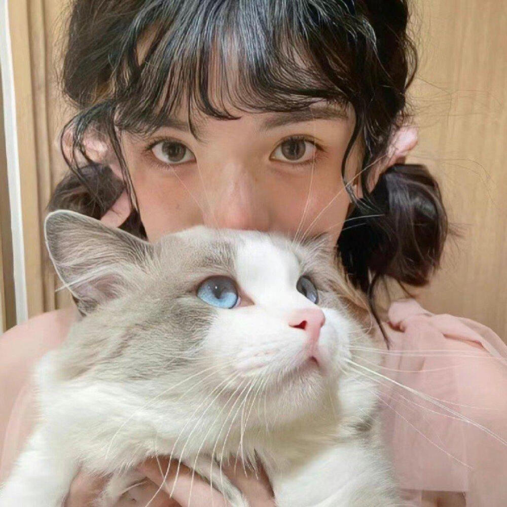 抱猫女头