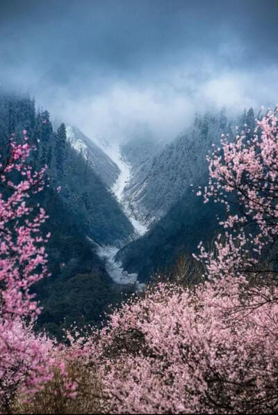 山海自有归期