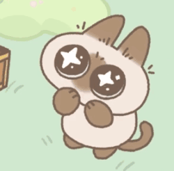 Gif 表情包