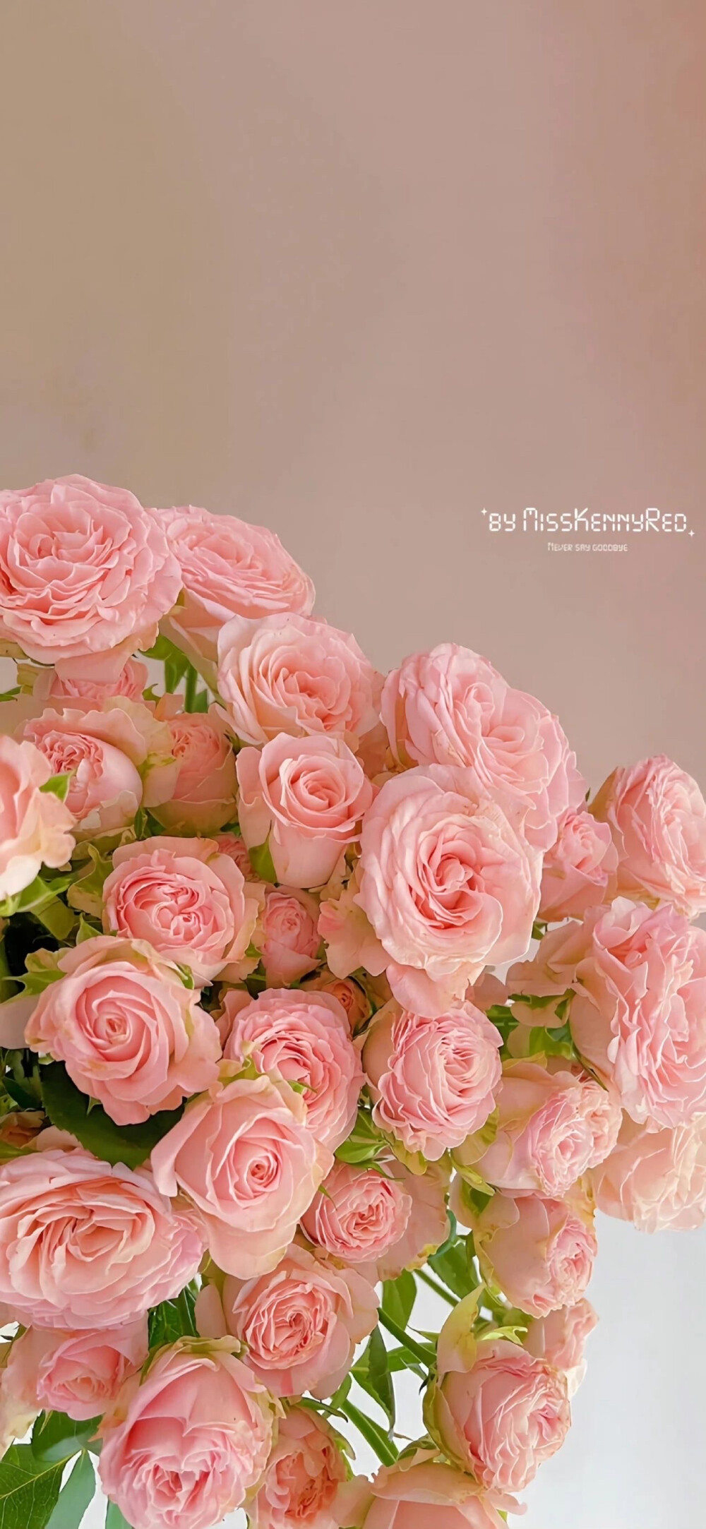 壁纸手机壁纸lomo冷淡风ins花玫瑰少女心