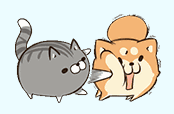 Gif 表情包