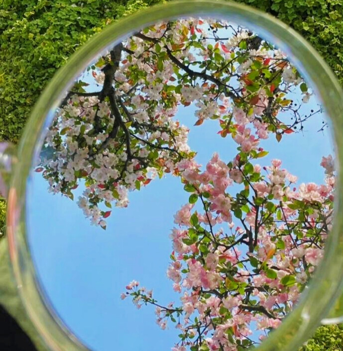 春日氛围感背景图