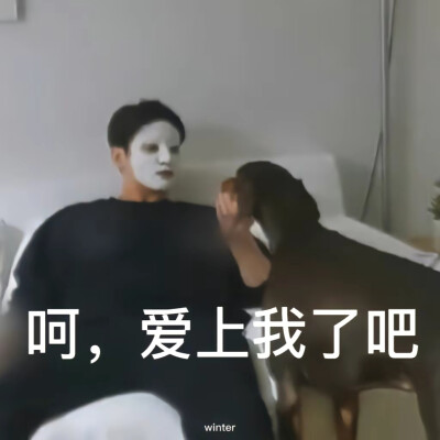 bts表情包