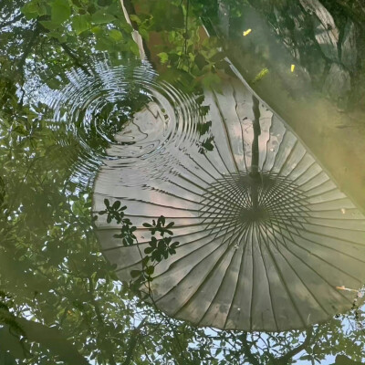 背景｜文案
我希望你被打磨 永远光明磊落
我希望你能走过山山水水 写温柔的字 坦荡地爱 我希望你被阅读 不被辜负 你要飘摇着美丽 活得丰盛 或庄重