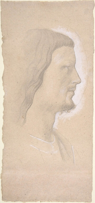 Head of a Saint (profile to the right), after Fra Angelico,Black chalk, heightened with white, on pink-beige paper,23x10.6cm