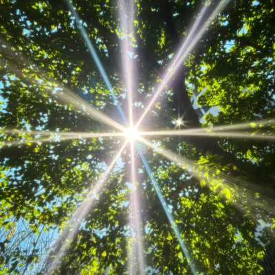 背景
拿图点赞收藏