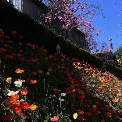 背景｜文案
要祝她铮铮 祝她昂扬 而不是祝她早生贵子