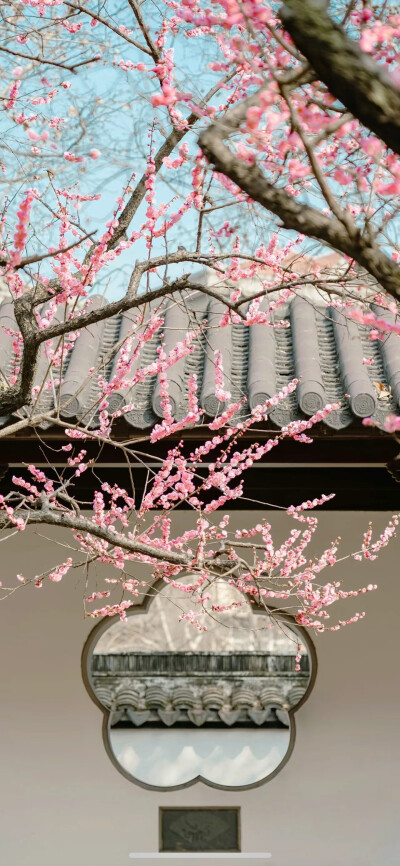 手机壁纸