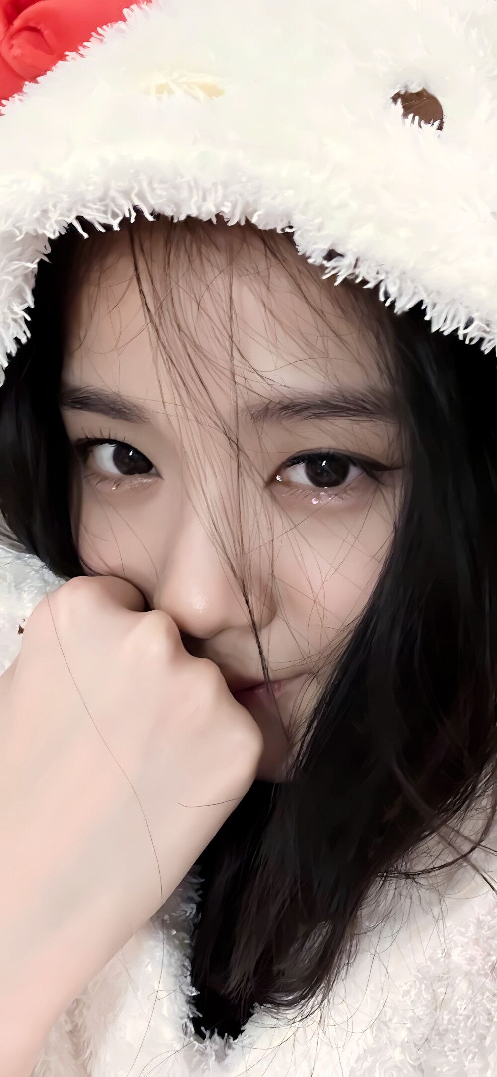 jisoo金智秀壁纸