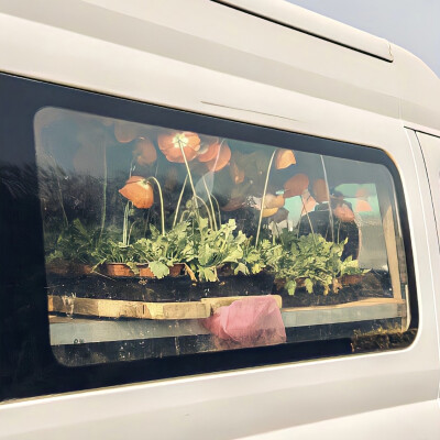 背景｜文案
要祝她铮铮 祝她昂扬 而不是祝她早生贵子