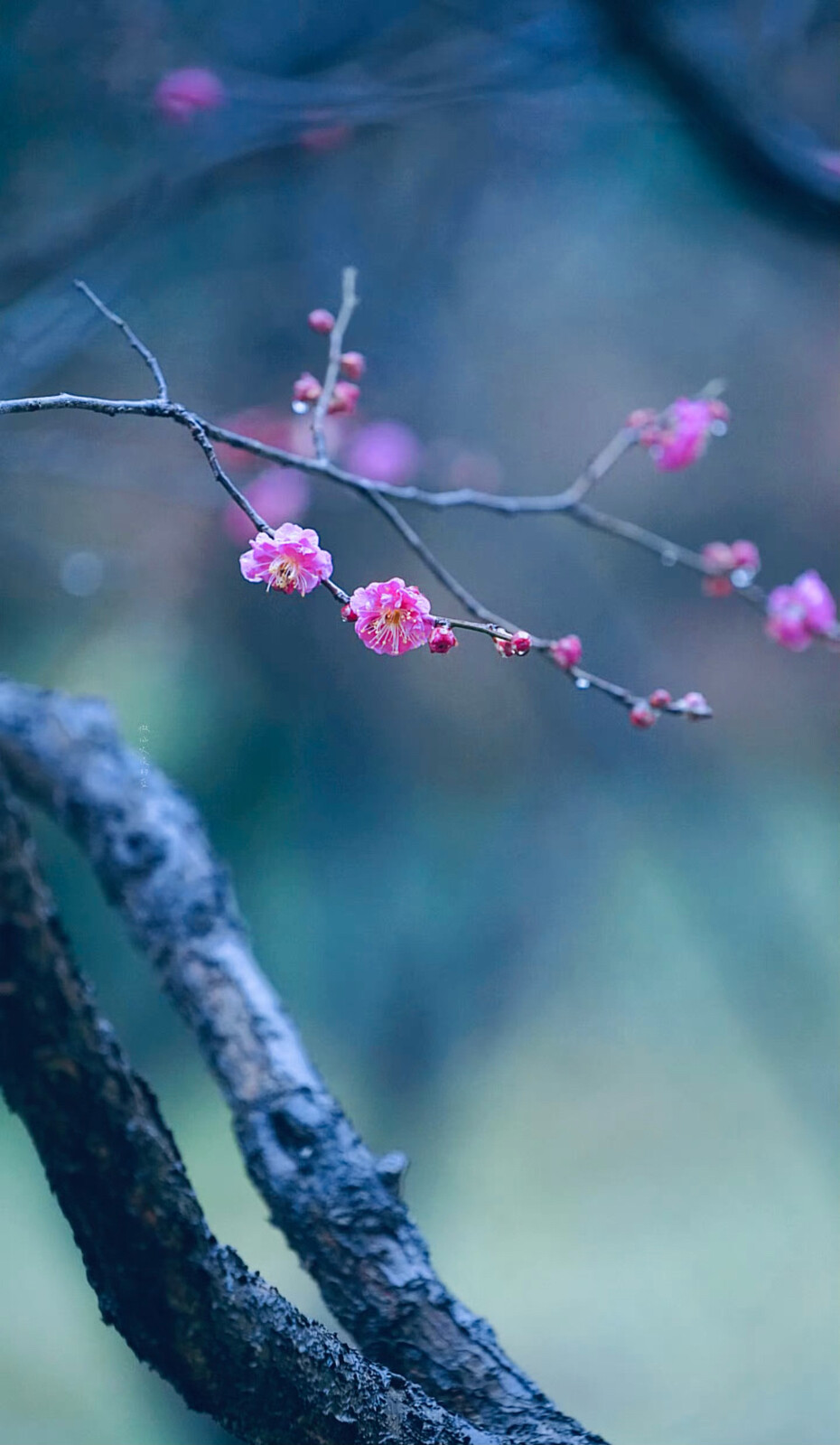 春风吹碧，春云映绿，晓梦入芳裀。