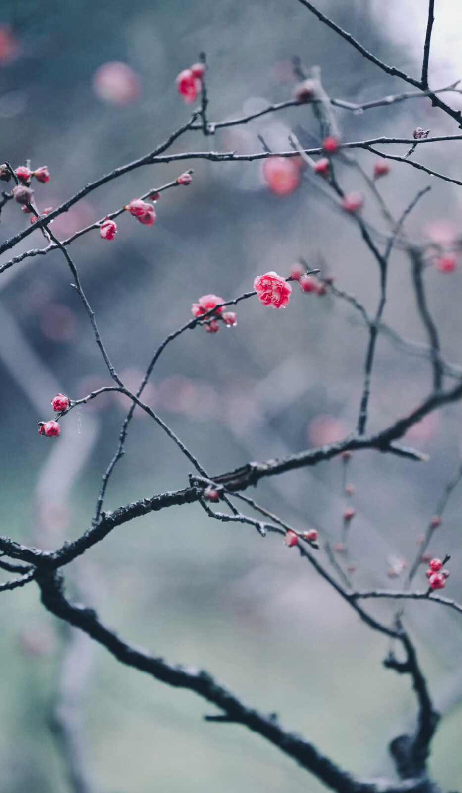 春风吹碧，春云映绿，晓梦入芳裀。