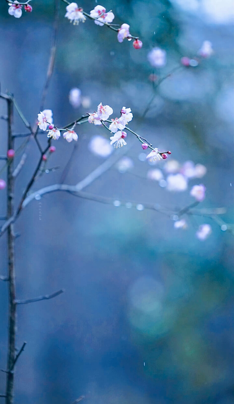 春风吹碧，春云映绿，晓梦入芳裀。