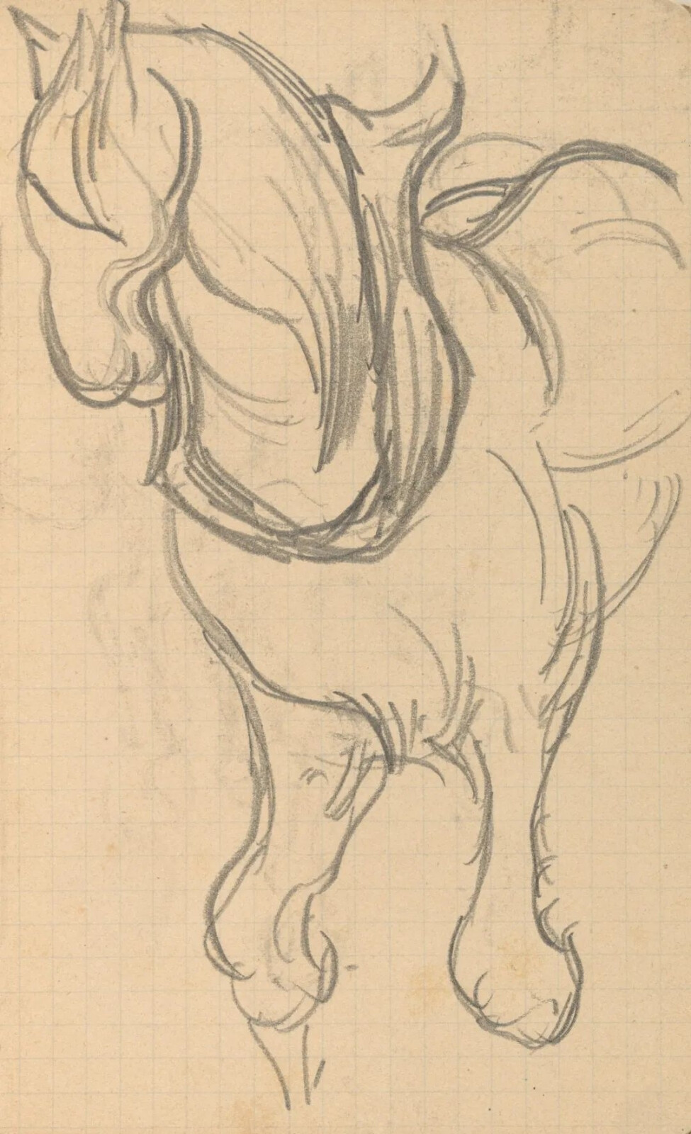 Horse,May-July 1890,pencil on paper,13.4x8.5cm