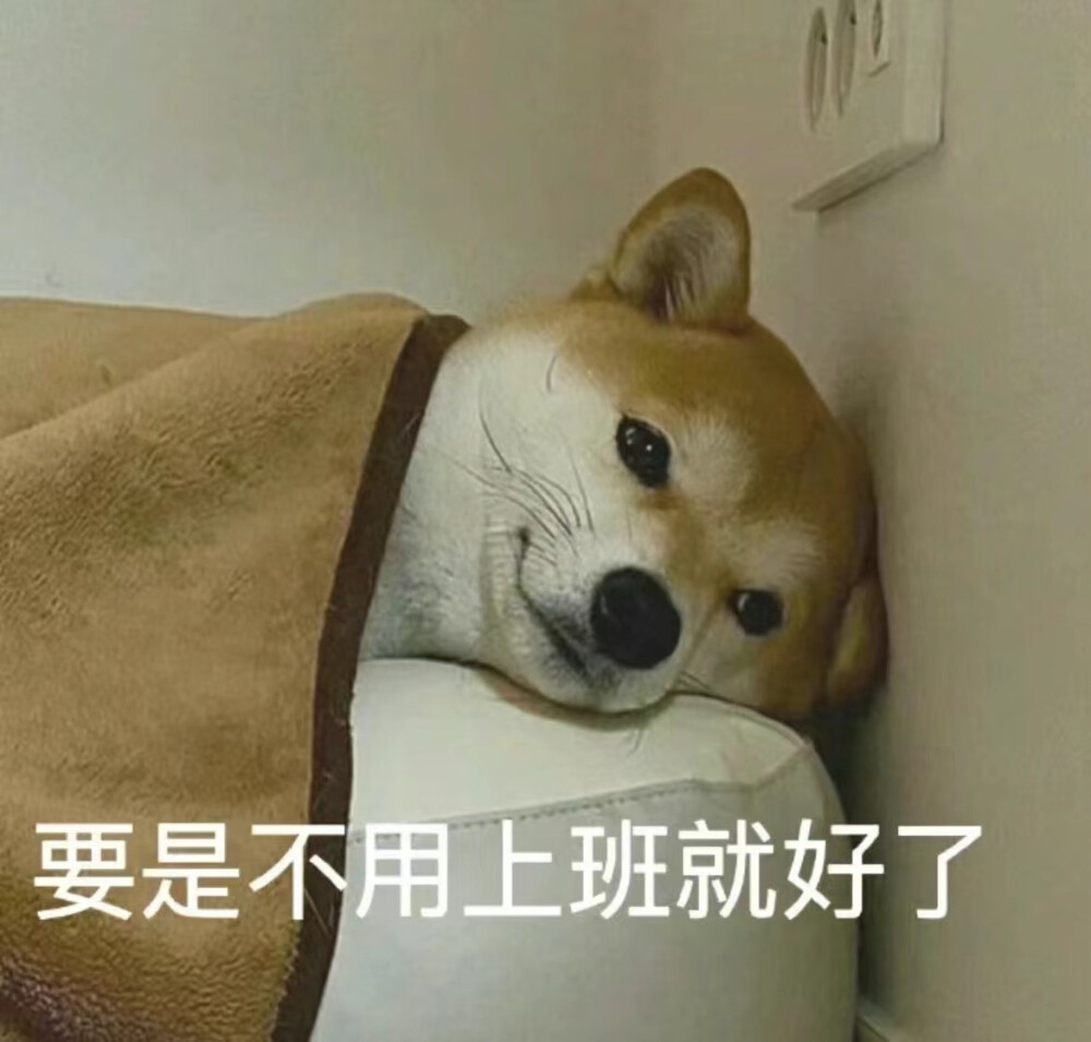 柴犬 打工人表情包