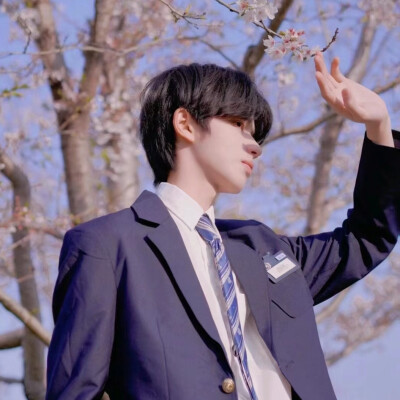 动漫。黑白情侣