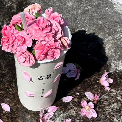 花朵背景图