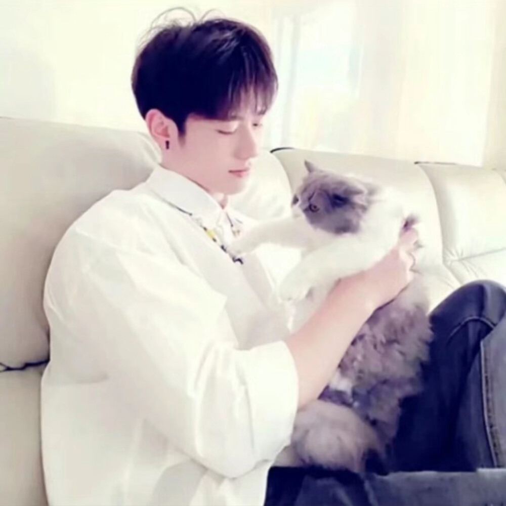 动漫。黑白情侣