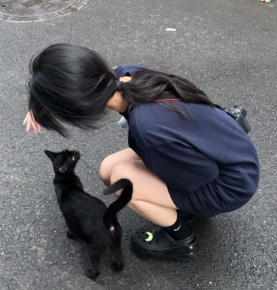 杂