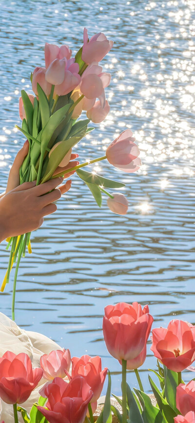 嗨，我带着春天回来了