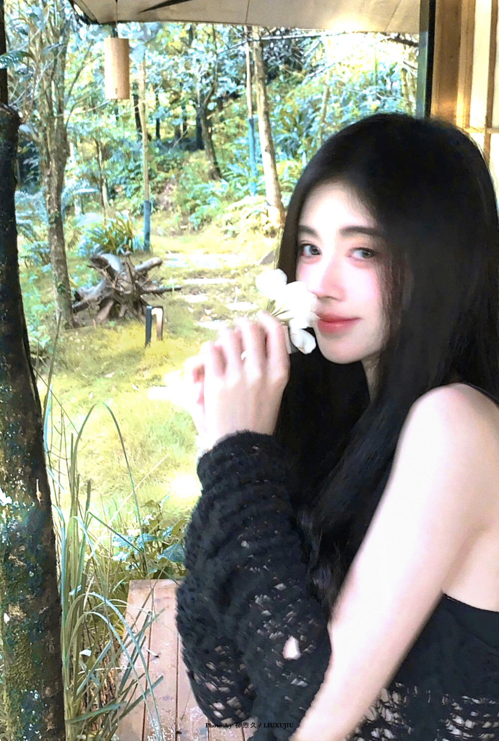 
林间小鹿 ​​​cr.柳煦久