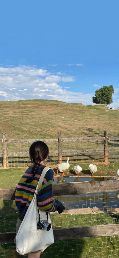 嗨，我带着春天回来了