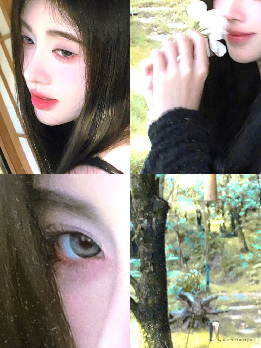 
林间小鹿 ​​​cr.柳煦久