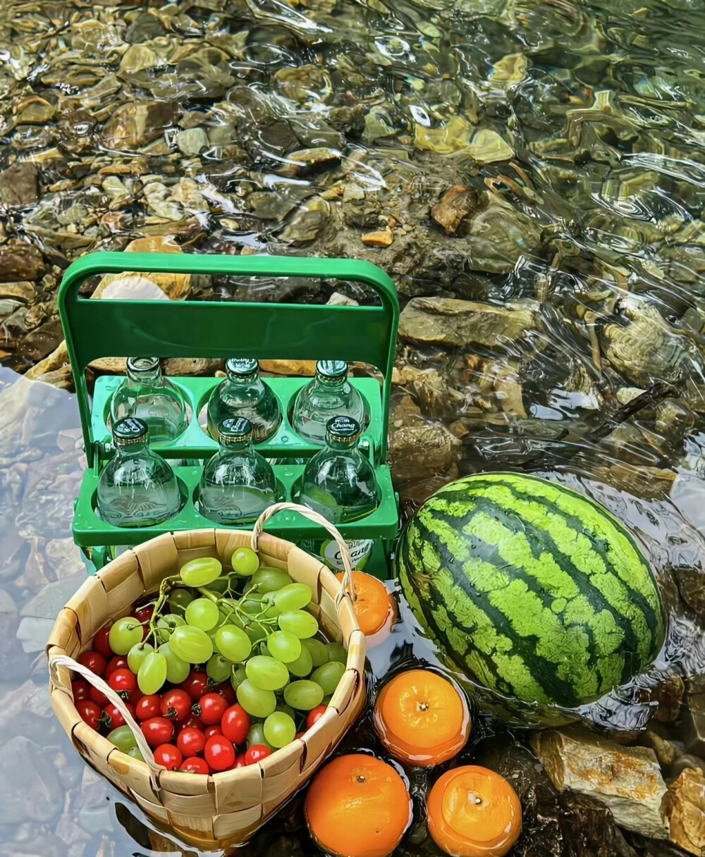 夏日背景图║户外露营