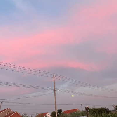 ᷄ ᴥ -᷅ ೯痞幼兔的小天地