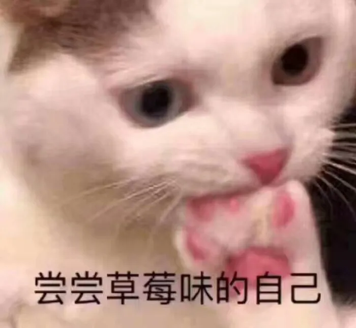表情包