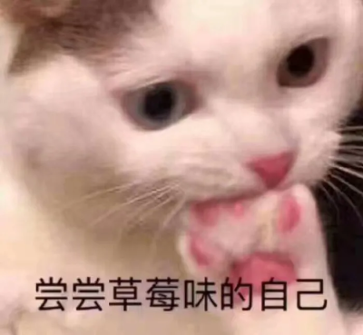 表情包