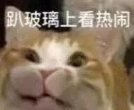 表情包